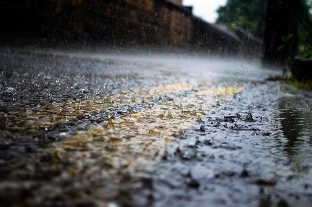 雨 雨点 季节 水 特写 元素 云 降水 春 夏天