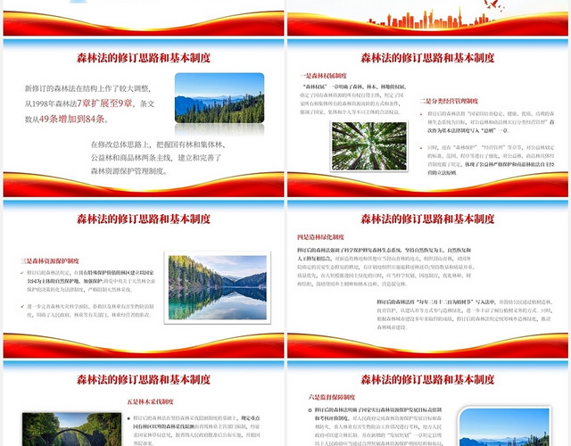 2022红色实图党建风中国森林法全文学习解读演讲活动培训模世界森林日
