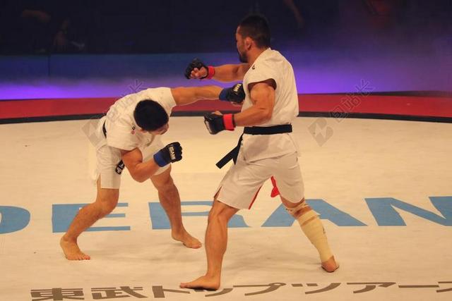 甲基丙烯酸甲酯 武术 岩流岛 马萨的战斗 混合的武术 SHOOTO