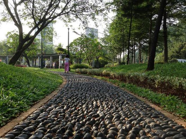 石 路径 轨道 行人路 公园 走 通路 方式 走道 户外