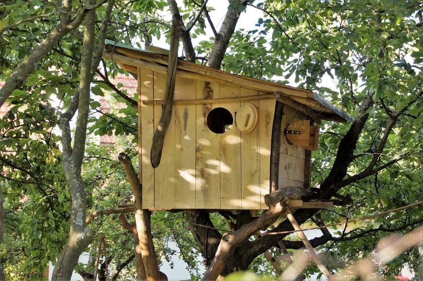 树 房子 布达 在树上的房子 冒险 孩子们的游戏 在树枝上的房子