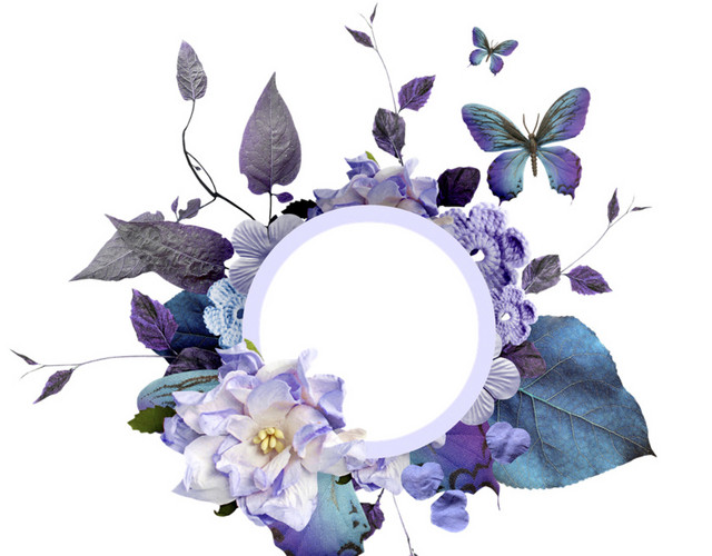 花框 花边