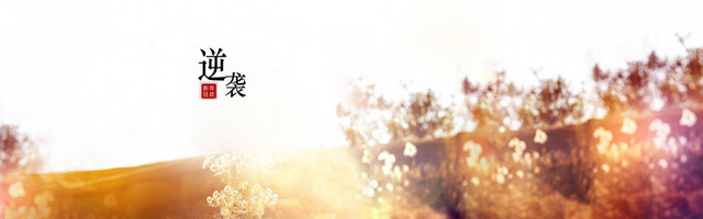 女装背景BANNER