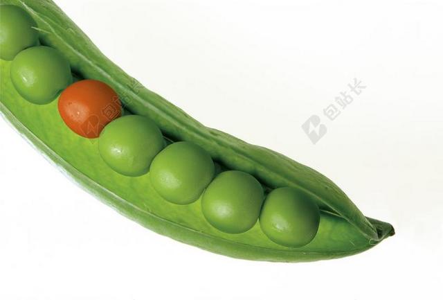豌豆 POD 豌豆荚 绿色 新鲜 不同 脱颖而出 奇数 对比