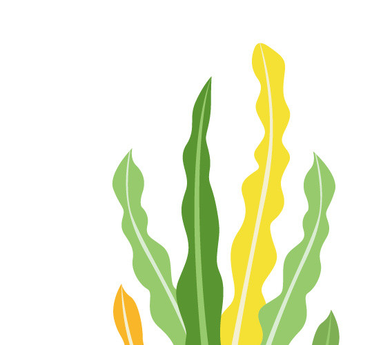 卡通水草