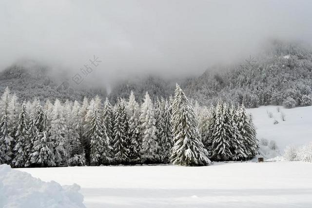 冬天 现场 山 仙境 森林 冷 户外 日落 雪 度假 冰