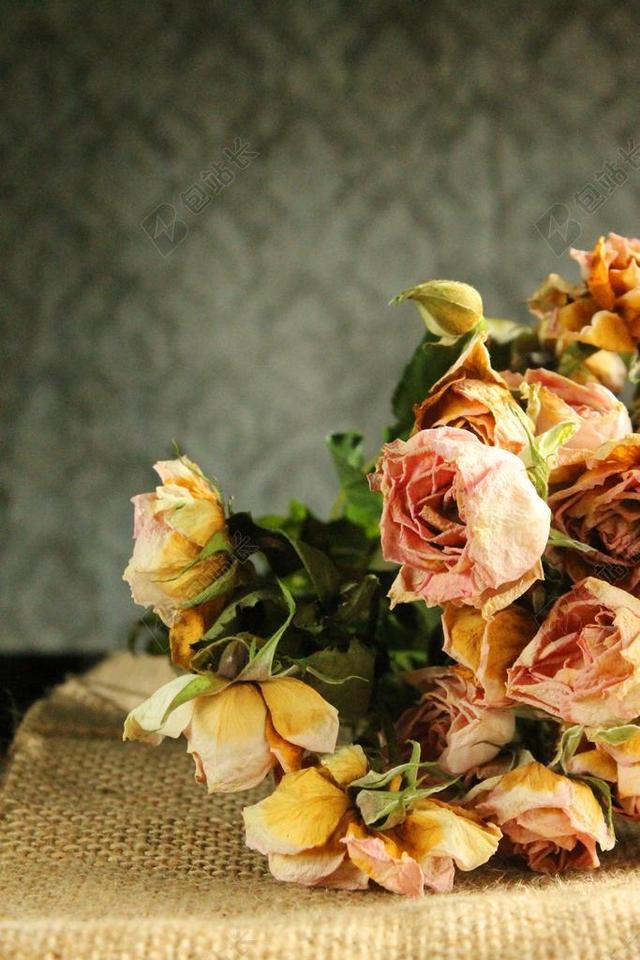 花卉 鲜花 玫瑰 花束 干 褪色 枯萎 逝世 心情 干花