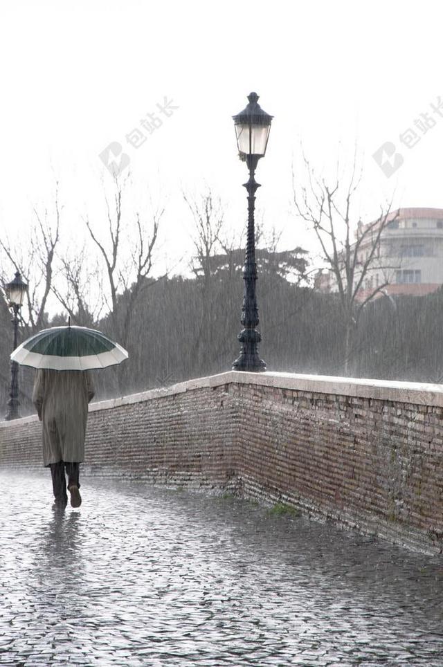 雨 水 滴 下雨天 雨滴 孤独