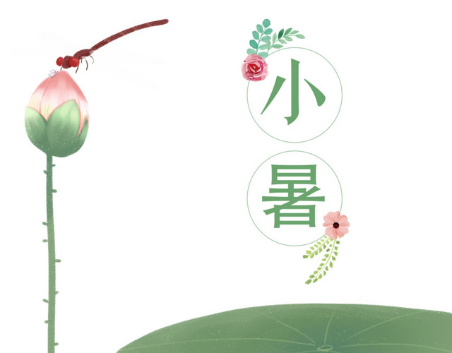 二十四节气小暑荷叶元素免费下载