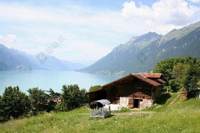 伯尔尼高地 布里恩茨 湖的 BRIENZ 瑞士 山 高山 景观