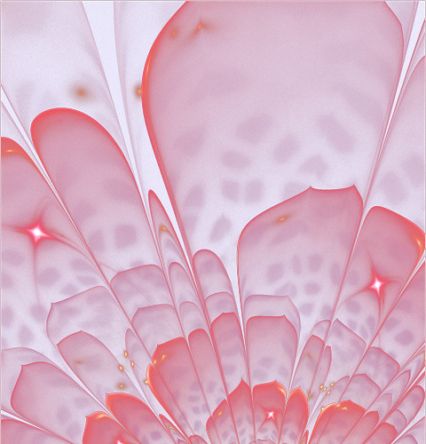 唯美花卉