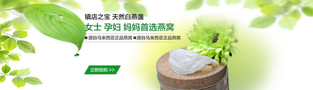 绿色燕窝背景