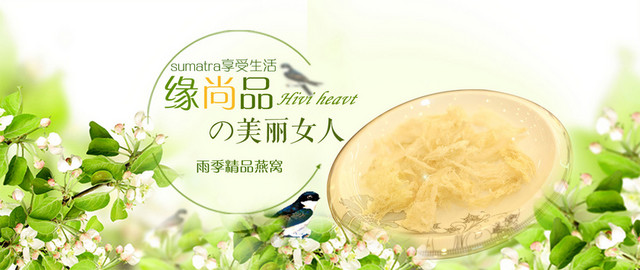 绿色燕窝BANNER