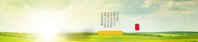 BANNER图图片