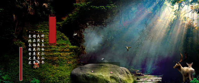 化妆品BANNER