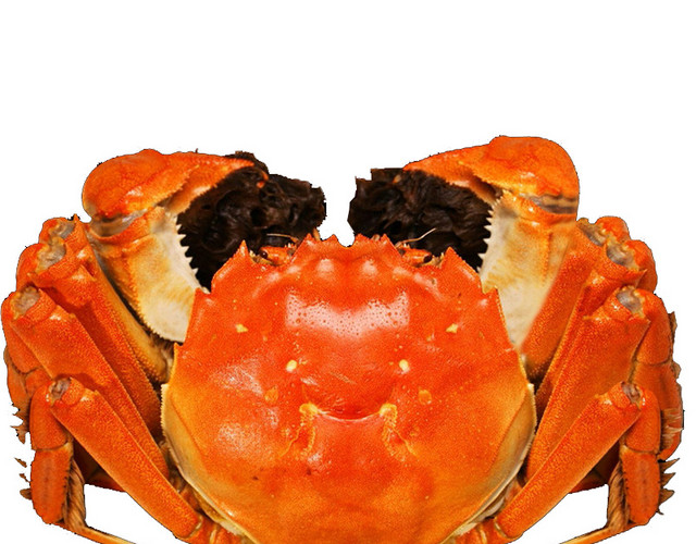 大闸蟹