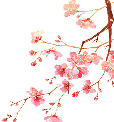 粉色水彩美丽桃花枝
