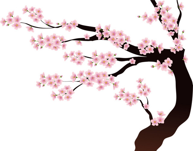 梅花