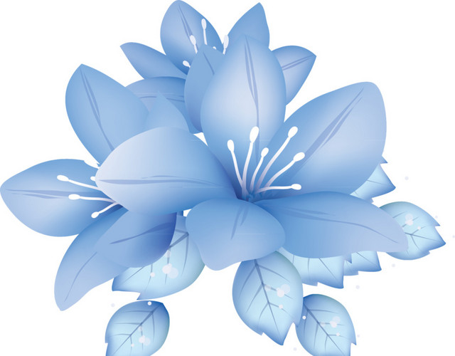 装饰花纹