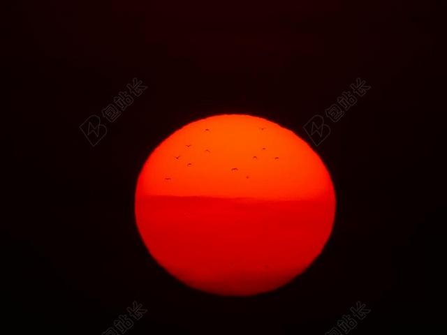 太阳 火球 鸟类 红色 日落 性质 太阳能磁盘 热 致盲