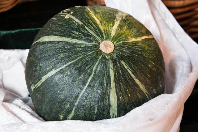 南瓜 蔬菜 感恩节 收获 绿色
