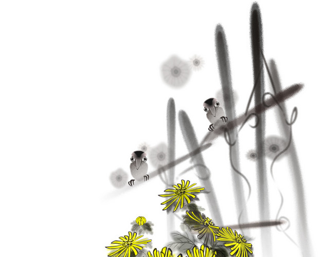 手绘 菊花