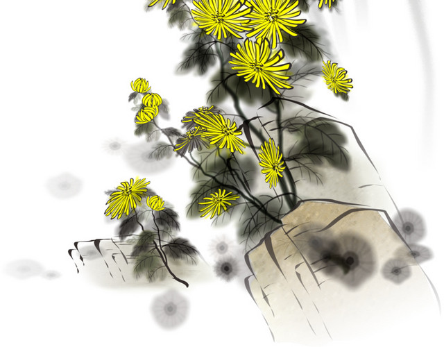 手绘 菊花