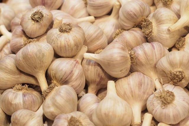 食品 大蒜 生产 新鲜 成分 自然 蔬菜 原