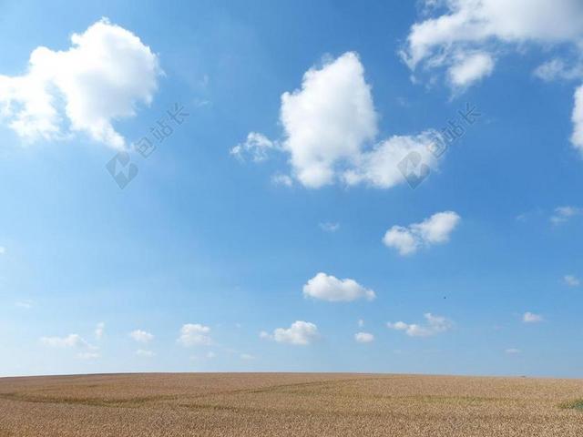 麦田 夏季 云 天空 字段 蓝色 耕地 农业