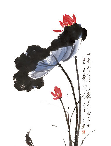 水墨荷花