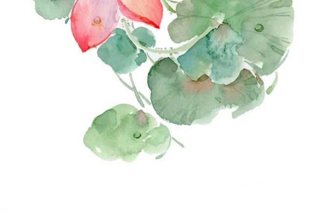 水墨荷花
