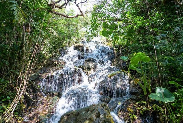 大瀑布 岩 自然 水 景观 溪 流动 景区 旅行 石