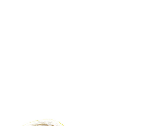 鹰
