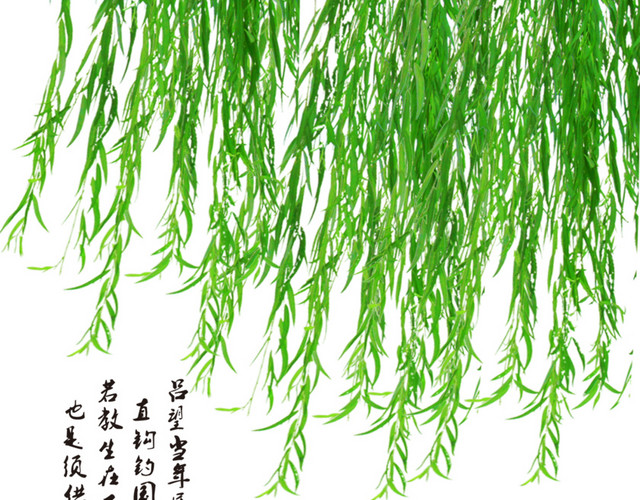 清明节水墨风手绘柳叶