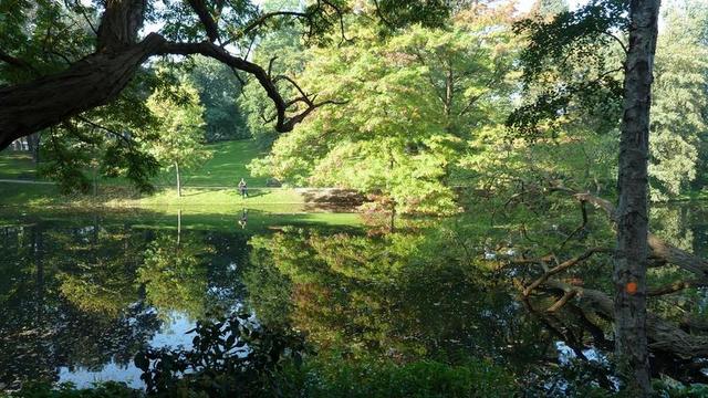 不来梅 市民公园 性质 景观 秋季 树 叶子 湖 颜色