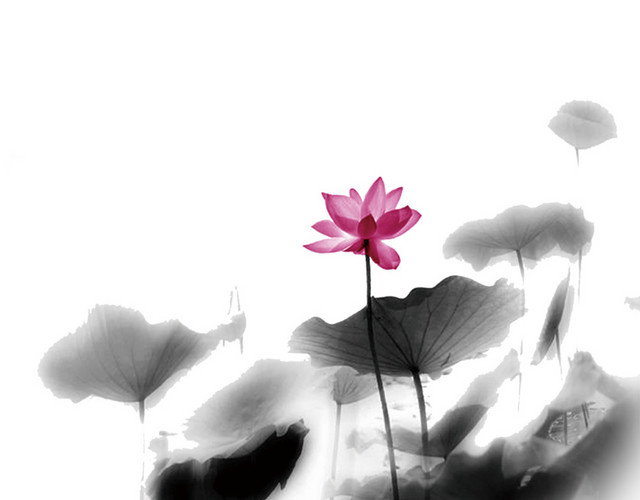 水墨荷花图