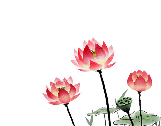 水墨荷花
