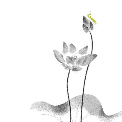 水墨荷花