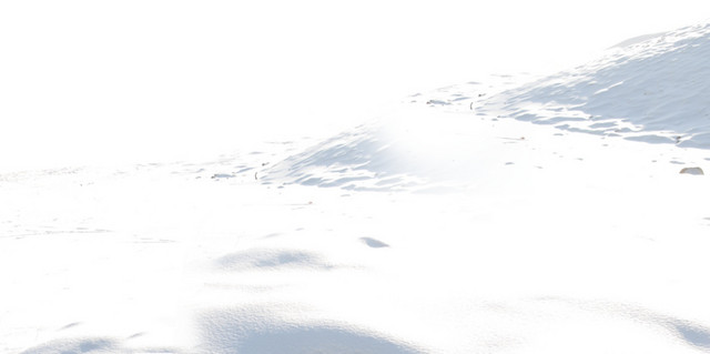 雪山雪地