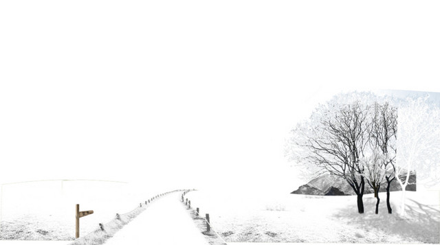 雪地雪景