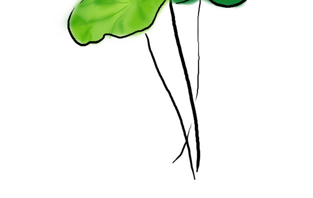夏至手绘荷叶和蜻蜓