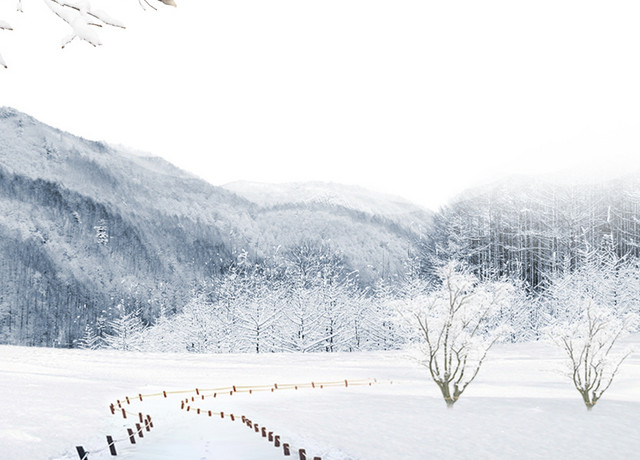 雪地雪景