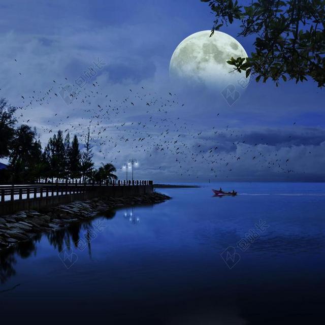 月亮 海 蓝色 海洋 自然 水 景观 天空 光 夜 海滩