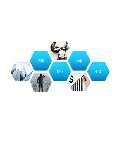 企业文化图标沉稳专业效率业绩