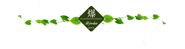 双十一爆款导航条
