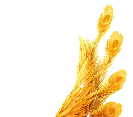 金色羽毛