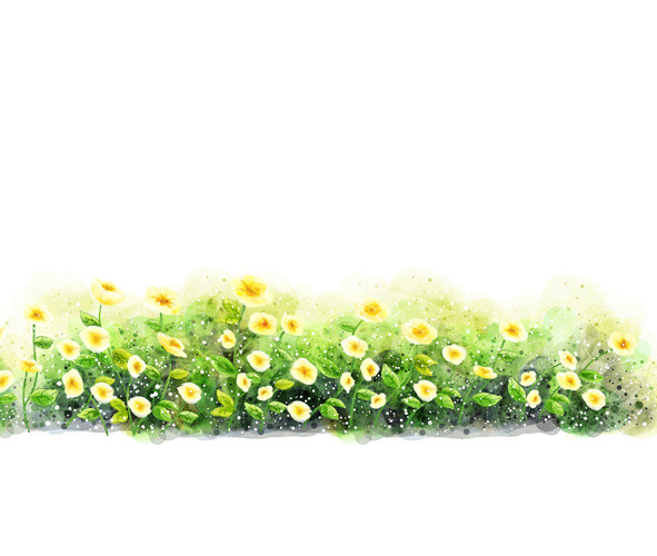 花草葱葱