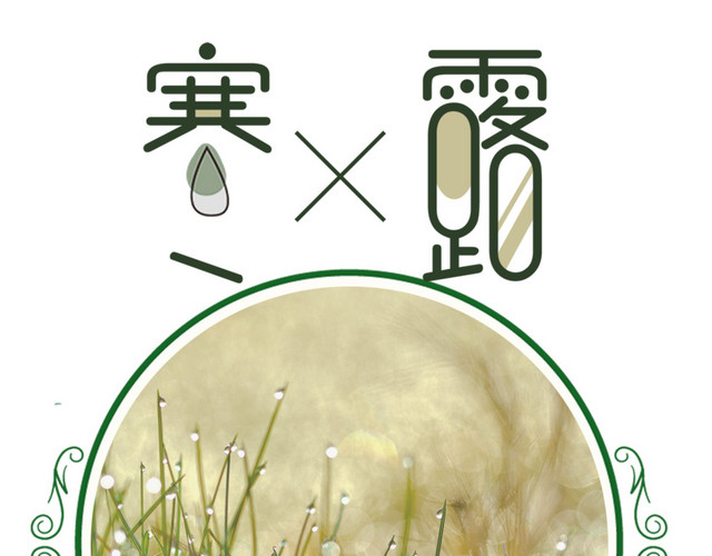 寒露小清新设计海报