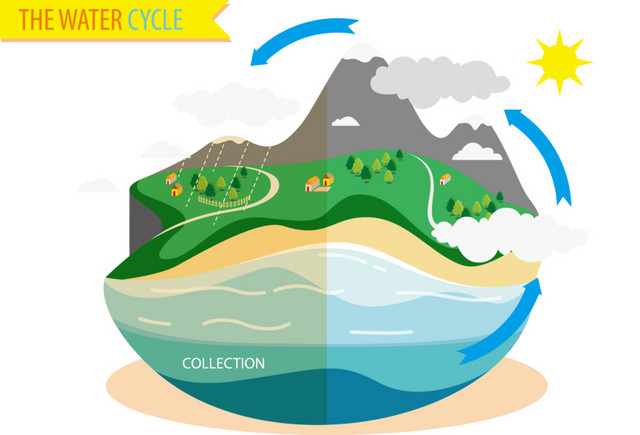 矢量水循环图示
