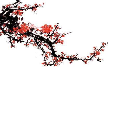 冬至梅花